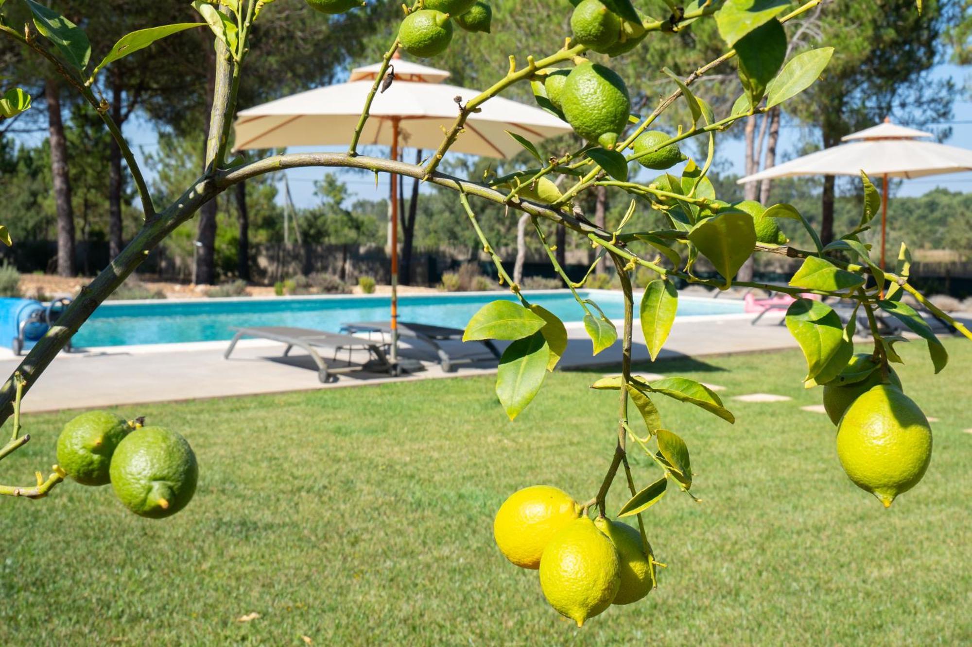 Monte Dos Pinheiros Holiday home Sao Teotonio